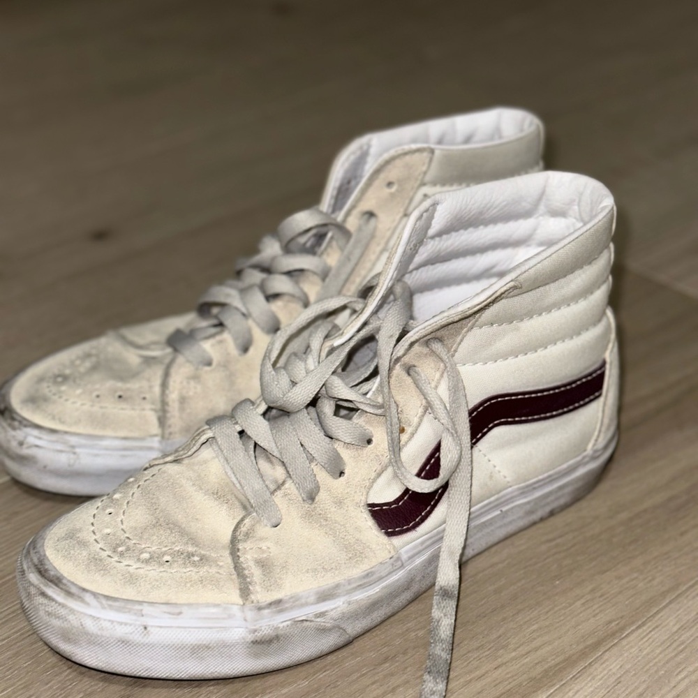 Sk8-Hi Pig Suede Shoe